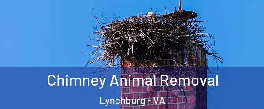  Chimney Animal Removal Lynchburg - VA