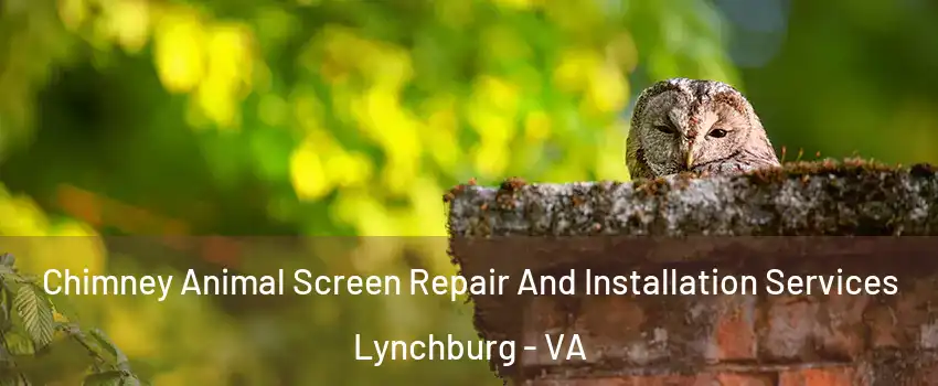  Chimney Animal Screen Repair And Installation Services Lynchburg - VA