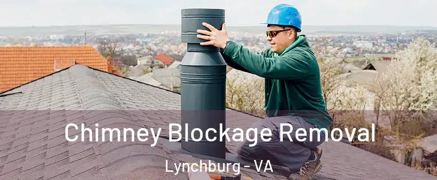  Chimney Blockage Removal Lynchburg - VA