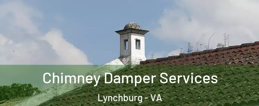  Chimney Damper Services Lynchburg - VA