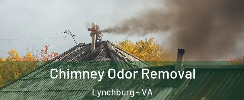  Chimney Odor Removal Lynchburg - VA