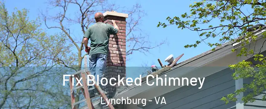  Fix Blocked Chimney Lynchburg - VA