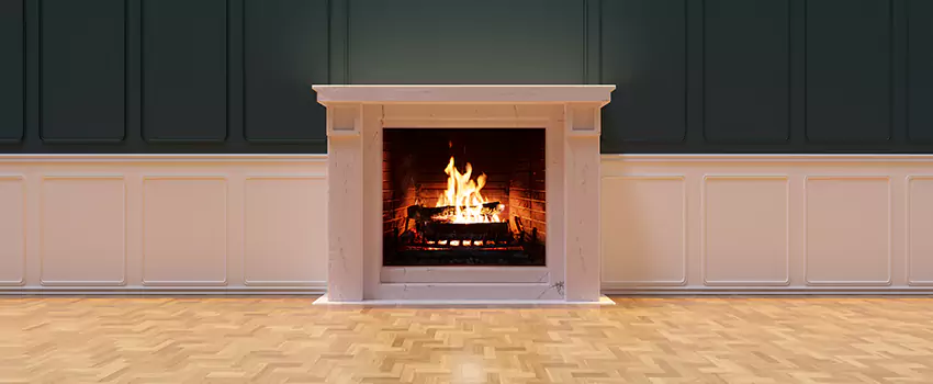 Napoleon Electric Fireplaces Inspection Service in Lynchburg, Virginia