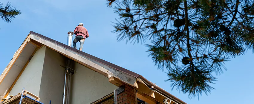 Birds Removal Contractors from Chimney in Lynchburg, VA
