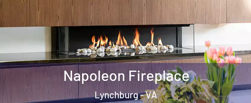  Napoleon Fireplace Lynchburg - VA